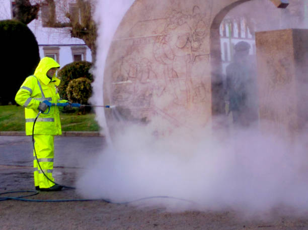 Best House Pressure Washing  in De Witt, NY
