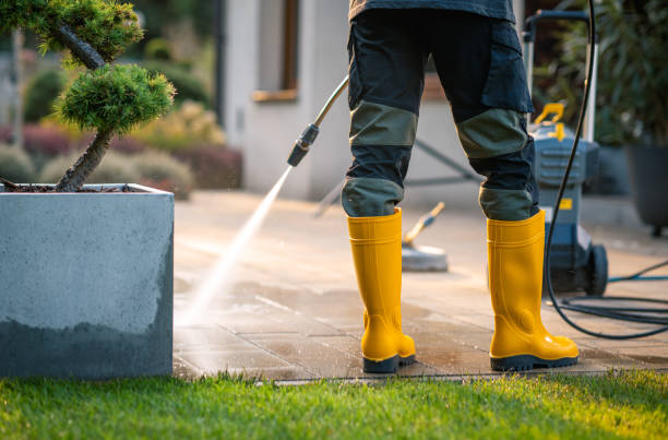 Best Sidewalk Pressure Washing  in De Witt, NY